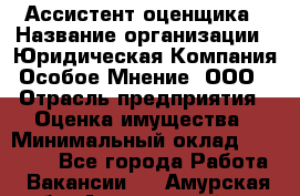 Ассистент оценщика › Название организации ­ Юридическая Компания Особое Мнение, ООО › Отрасль предприятия ­ Оценка имущества › Минимальный оклад ­ 30 000 - Все города Работа » Вакансии   . Амурская обл.,Архаринский р-н